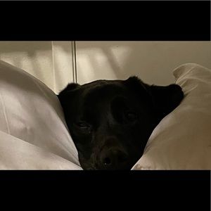 Meet your Posher, Vallerie